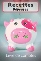 recettes dépenses: livre de comptes (French Edition) 1699672571 Book Cover