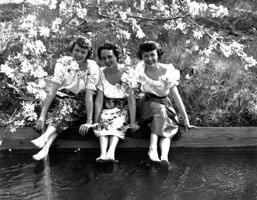 Once Upon an Apple Blossom Time 1495103463 Book Cover