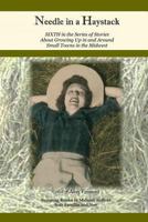 Needle in a Haystack: Sixth in the Series of Stories About Life ... 061591943X Book Cover