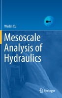 Mesoscale Analysis of Hydraulics 9811597871 Book Cover