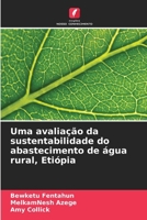 Uma avaliação da sustentabilidade do abastecimento de água rural, Etiópia (Portuguese Edition) 6207886682 Book Cover