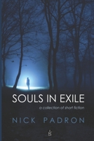 Souls in Exile : A Novel 195351071X Book Cover