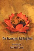 THE GEOMETRY OF SPLITTING SOULS 1421886340 Book Cover