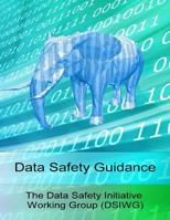 Data Safety Guidance 1519533578 Book Cover