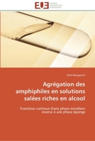 Agra(c)Gation Des Amphiphiles En Solutions Sala(c)Es Riches En Alcool 384178576X Book Cover