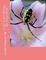 Love Can't Always Be Described 1484084152 Book Cover