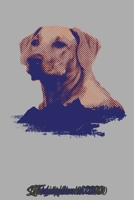 Kalender 2020: Kalender DIN A5 2020 1 Tag = 1 Seite mit gro�em Tagesplaner und gro�artiger �bersicht. Monats�bersicht, Erinnerung und Notizen in diesem Kalenderbuch. Labrador Hund Golden Retriever 1677611707 Book Cover