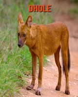 Dhole: Beautiful Pictures & Interesting Facts Children Book About Dhole B095VDKS78 Book Cover