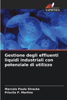 Gestione degli effluenti liquidi industriali con potenziale di utilizzo (Italian Edition) 6208095190 Book Cover