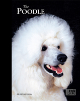 Poodle - Best of Breed 1906305242 Book Cover