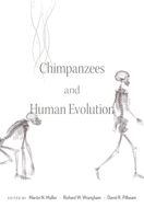 Chimpanzees and Human Evolution 067496795X Book Cover