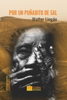 Por un puñadito de sal (Spanish Edition) B0GL5ZMH7J Book Cover