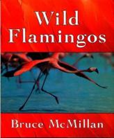 Wild Flamingos 0395845459 Book Cover