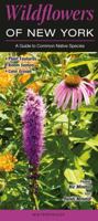 Wildflowers of New York: A Guide to Common Native Species 194333434X Book Cover