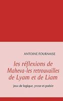 les réflexions de Maheva-les retrouvailles de Lyam et de Liam: jeux de logique, prose et poésie 2810603421 Book Cover