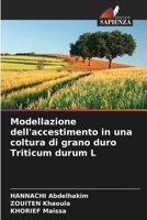 Modellazione dell'accestimento in una coltura di grano duro Triticum durum L (Italian Edition) 620816270X Book Cover