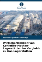 Wirtschaftlichkeit von Kohleflöz-Methan-Lagerstätten im Vergleich zu Gas-Lagerstätten (German Edition) 6205110407 Book Cover