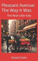 Pleasant Avenue: The Way It Was B0B8R42PR5 Book Cover