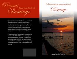 Poemas para una tarde de Domingo 0692657592 Book Cover