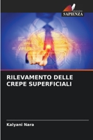 RILEVAMENTO DELLE CREPE SUPERFICIALI 6206310302 Book Cover