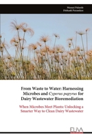 From Waste to Water: Harnessing Microbes and Cyperus papyrus for Dairy Wastewater Bioremediation: When Microbes Meet Plants: Unlocking a Smarter Way to Clean Dairy Wastewater 9999351387 Book Cover