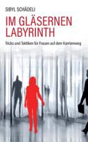 Im gläsernen Labyrinth (German Edition) 3749403732 Book Cover