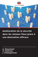 Amélioration de la sécurité dans les réseaux flous grâce à une domination efficace (French Edition) 6207940040 Book Cover