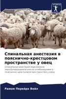 ?????????? ????????? ? ?????????-?????????? ???????????? ? ????: ?????????? ????????? ??????????, ???????????????? ??? ?? ???????????? ? ?????????-?????????? ???????????? ? ???? (Russian Edition) B0CJ495T1N Book Cover