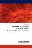 Excitons in Double Quantum Wells 3846519324 Book Cover