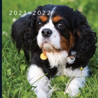 2021 - 2022: 18 Month Calendar | Monthly Photo Calendar | July 2021 - December 2022 | Monthly Calendar with U.S./UK/ Canadian/Christian/Jewish/Muslim Holidays | Cavalier King Charles Spaniel Calendar B0932614VV Book Cover