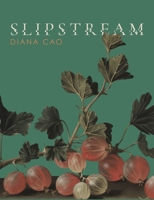 Slipstream 1961209616 Book Cover
