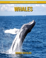 Whales: Amazing Pictures and Facts B088B6DB1R Book Cover