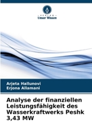 Analyse der finanziellen Leistungsfähigkeit des Wasserkraftwerks Peshk 3,43 MW (German Edition) 6207655966 Book Cover