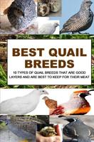 Best Quail Breeds: 10 Types Of Quail Breeds That Are Good Layers And Are Best To Keep For Their Meat 1533498164 Book Cover