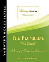 The Plumbline 1456337823 Book Cover