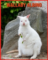 Wallaby Albino: Immagini bellissime e fatti interessanti Libro per bambini sui Wallaby Albino B08XL7ZJ1D Book Cover
