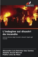 L'indagine sui disastri da incendio: Scienze forensi degli incendi e disastri legati agli incendi B0CKKWDH53 Book Cover