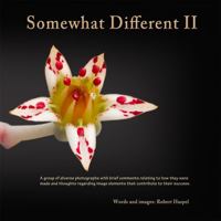 Somewhat Different II 1737122227 Book Cover