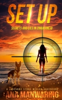 Set Up: Secrets and Lies in Zihuatanejo (The JadeAnne Stone Mexico Adventures Book 1) 1644564343 Book Cover