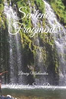 Sentence Fragments: Literary Mathematics B08WZMB481 Book Cover