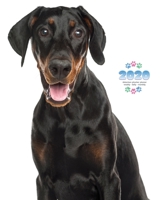 2020 Doberman Pinscher Planner - Weekly - Daily - Monthly 1642526436 Book Cover