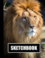 Sketchbook: Lion Cover Design White Paper 120 Blank Unlined Pages 8.5 X 11 Matte Finished Soft Cover 1706183453 Book Cover