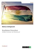 Kurdistans Erwachen. Stabilität, Demokratie Oder Flächenbrand? (German Edition) 3668899266 Book Cover