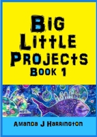 Big Little Projects Book 1 0244823588 Book Cover