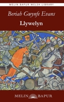 Llywelyn 1917237464 Book Cover
