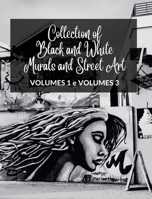 Collection of Black and White Murals and Street Art - Volumes 1 and 3: Two Photographic Books on Urban Art and Culture B0CPPBYX3T Book Cover