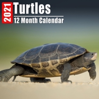 Calendar 2021 Turtles: Cute Turtle Photos Monthly Mini Calendar With Inspirational Quotes each Month B08DC3ZJ66 Book Cover