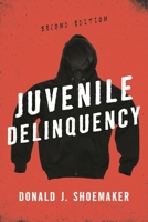 Juvenile Delinquency 0742547078 Book Cover
