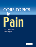 Core Topics in Pain 0521174171 Book Cover