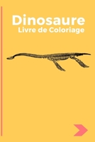 Dinosaure Livre de Coloriage Pour les Enfants de 4 � 8 Ans: 33 Dessins R�alistes de Dinosaures pour pour Gar�ons et Filles et Adultes . Coloriage Enfant Dinosaure B084QJT32P Book Cover